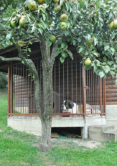 Садиба У Крайлюків ירמכה מראה חיצוני תמונה